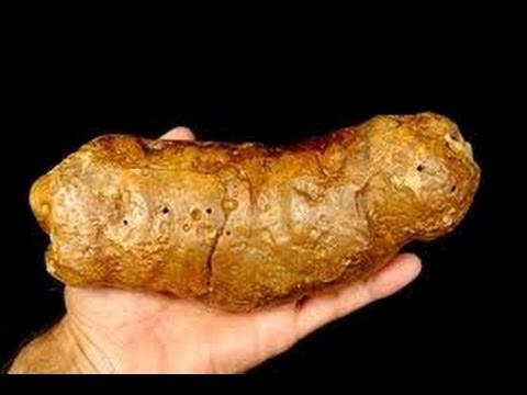 Thịt được làm từ phân người: Vị giáo sư người Nhật Ikeda đã phát minh ra loại thức ăn mà chỉ nghe tên đã khiến nhiều người buồn nôn, đó là món thịt làm từ phân người.