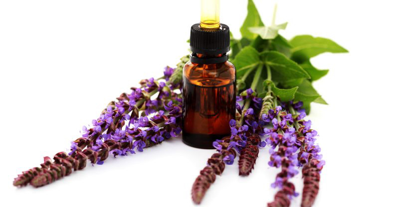 Tinh dầu xô thơm bạc hà là chất chống oxy hóa hiệu quả và có thể giảm các tác động gây tổn hại lên da của các gốc tự do có hại. Các gốc tự do có thể làm tổn thương DNA của da và đẩy nhanh quá trình lão hóa.