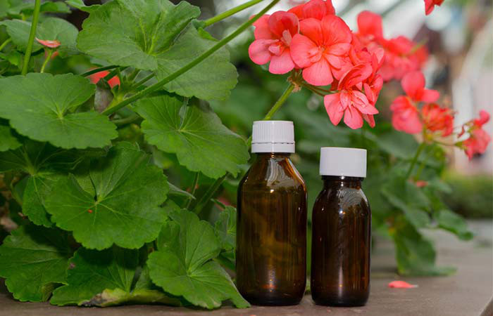 Tinh dầu phong lữ có rất nhiều lợi ích cho da. Tinh dầu phong lữ không gây ra tác dụng phụ tiềm tàng hay kích ứng nào. Hơn nữa, nó còn có thể làm giảm tình trạng tiết dầu nhờn.