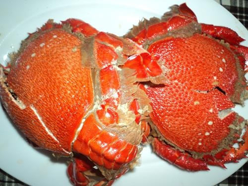 Cua huỳnh đế là đặc sản của vùng biển Tam Quan và Ðề Gi (Bình Ðịnh). Cua đế có bộ áo giáp dày và càng, màu vàng rực như hoàng bào, li ti gai nhọn xuôi theo thân, que và càng to, cạnh sắc lẻm như dao khác hẳn với các loại cua khác.