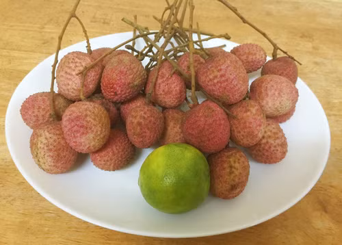 Cách làm: Vải bóc vỏ, bỏ hột, lấy phần thịt. Chanh bổ đôi, vắt lấy nước cốt, loại bỏ hạt. Cho phần thịt vải cùng với 300ml nước đun sôi để nguôi và nước cốt chanh ở trên vào máy xay sinh tố xay thật nhuyễn. Phía bên trong trái vải thường có phần màng, vị hơi chát nên khi xay xong bạn cho qua lưới lọc loại bỏ bớt phần màng này. Rót ra ly/cốc, có thể thêm xíu đường nếu bạn muốn uống ngọt. Thêm đá uống ngon hơn.