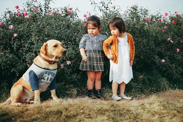 Be 5 tuoi tao dang kieu 'Thieu nu ben hoa hue' sieu cap dang yeu-Hinh-6