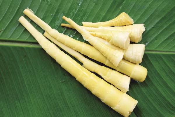 Măng luộc chấm mắm tôm: Măng đem về rửa sạch, luộc kỹ, thái miếng to bản, chấm ăn với mắm tôm thì có lẽ phải liệt vào hàng đặc sản. Một chút ngọt, một chút đắng hòa lẫn vị chua cay của mắm tôm, chỉ nhắc đến thôi đã thấy thèm.