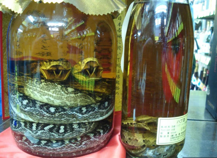 Rượu rắn còn được gọi là habushu. Món này trông rất đáng sợ với hình ảnh thật của một con rắn nằm trong bình rượu. Tất nhiên nhiều du khách sẽ lựa chọn một ly bia tươi hơn là một thứ đồ uống đáng sợ này.
