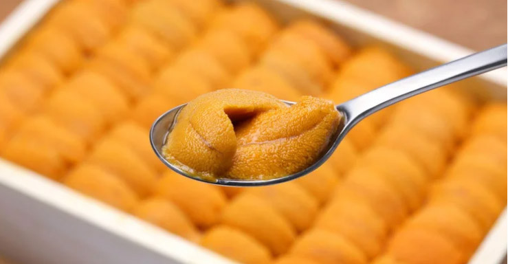 Tinh hoàn nhím biển rất phổ biến ở Nhật Bản, món ăn có kết cấu kem và hình thức đặc biệt. Mặc dù tình hoàn nhím biển có đầy đủ các đặc tính tốt cho sức khỏe và có hương vị khá ổn, nhưng nhiều thực khách không có khái niệm ăn tinh hoàn động vật.