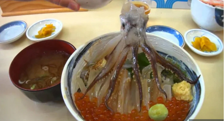 Mực sống rất phổ biến ở Nhật Bản. Nếu bạn không sợ hãi nhai một sinh vật vẫn đang ngo ngoe trong miệng thì hãy dũng cảm thưởng thức, nhiều người đã lựa chọn bỏ qua.