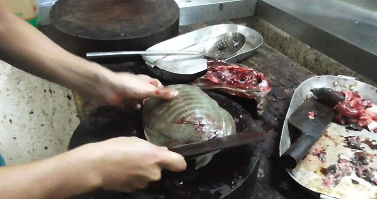 Rùa biển: Món rùa biển kỳ lạ này khá phổ biến ở Nhật Bản, nhưng nhiều thực khách nước ngoài hiếm khi nghĩ tới việc bắt con vật chậm chạp này làm bữa tối. Nhiều người sẽ sởn gai ốc khi tưởng tượng sẽ ăn nó.