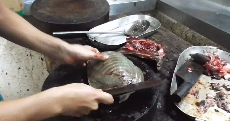 Rùa biển: Món rùa biển kỳ lạ này khá phổ biến ở Nhật Bản, nhưng nhiều thực khách nước ngoài hiếm khi nghĩ tới việc bắt con vật chậm chạp này làm bữa tối. Nhiều người sẽ sởn gai ốc khi tưởng tượng sẽ ăn nó.