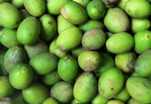 Giã rượu: 12 quả trám, 1.5g phèn chua, trước tiên dùng nước lạnh rửa sạch trám, lấy dao khía trên mỗi quả bốn năm đường rồi nhét phèn vào những vết khía ấy, nhai nhỏ nuốt dần để giã rượu. Hoặc trám tươi 10 quả sắc lấy nước uống có tác dụng giải rượu.