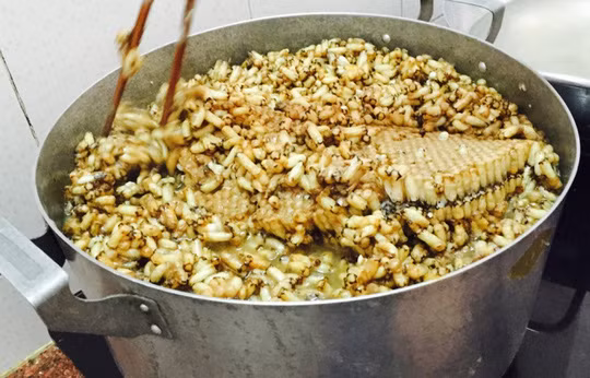 Nghe tên loại mắm này có lẽ các bạn sẽ thấy rất lạ, nhưng mùi vị thì lại đậm đà khó quên. Mắm ong khá hiếm do phụ thuộc vào mùa thu hoạch mật ong. Ảnh: Internet.