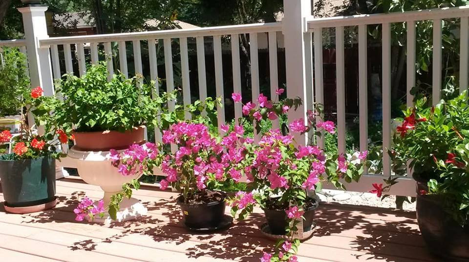 Bam theo bo vao nha nghi voi nhan tinh tre, con trai phat hien su that be bang