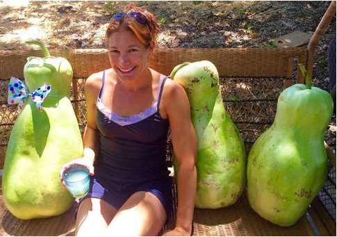 Những quả bầu khổng lồ to bằng người trưởng thành.