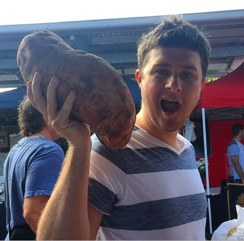 Củ khoai đủ cả nhà ăn một tuần liên tục.