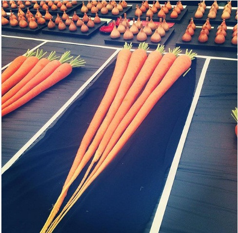 Củ cà rốt dài một cách kỳ lạ.