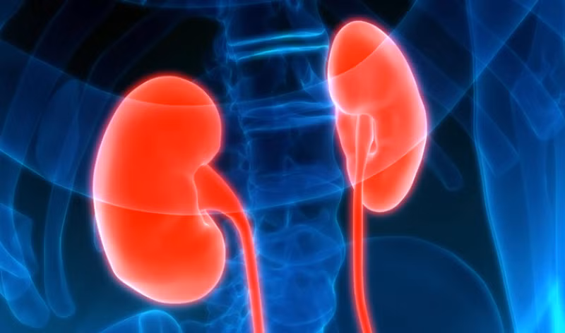 Bên cạnh đó, bác sĩ Abdul Rahim cũng giải thích rằng bạn sẽ có nguy cơ mắc bệnh thận cao hơn nếu bạn đang bị các chứng bệnh như Huyết áp cao, tiểu đường, có tiền sử gia đình bị suy thận, hoặc tuổi trên 60. Ông khuyên mọi người rằng cần đi kiểm tra thận ít nhất một lần mỗi năm. Ảnh: MDLinx.