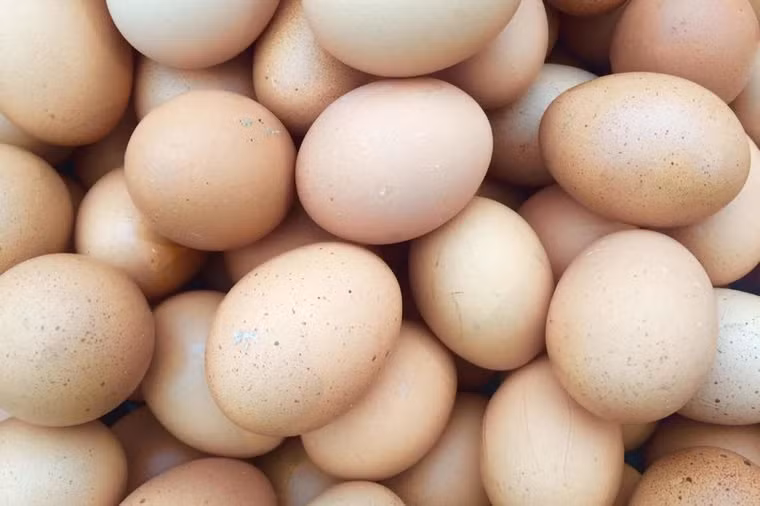 Trứng: Trứng cuộn, luộc hoặc rán đều là món khoái khẩu của chuyên gia dinh dưỡng Shannon A. Garcia. Trứng là nguồn cung cấp choline và protein chất lượng, rất có lợi cho sức khỏe. 