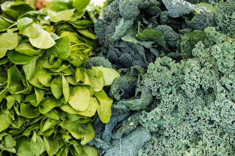 Rau lá xanh: Các loại rau xanh luôn xuất hiện trong thực đơn hàng ngày của các chuyên gia dinh dưỡng. Chúng giàu chất dinh dưỡng như folate, vitamin B cần cho các tế bào hồng cầu khỏe mạnh, beta -carotene và lutein cho đôi mắt khỏe mạnh và vitamin K cho quá trình đông máu.