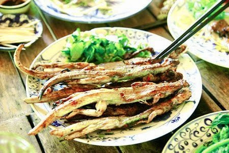 Không giống với những loài tắc kè khác ăn côn trùng thức ăn của thằn lằn núi Tây Ninh chủ yếu là trái sung, chuối và những cây thuốc nam khác như là nàng hai nên thịt của chúng rất thơm dai và có rất nhiều chất dinh dưỡng.