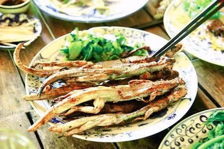 Không giống với những loài tắc kè khác ăn côn trùng thức ăn của thằn lằn núi Tây Ninh chủ yếu là trái sung, chuối và những cây thuốc nam khác như là nàng hai nên thịt của chúng rất thơm dai và có rất nhiều chất dinh dưỡng.