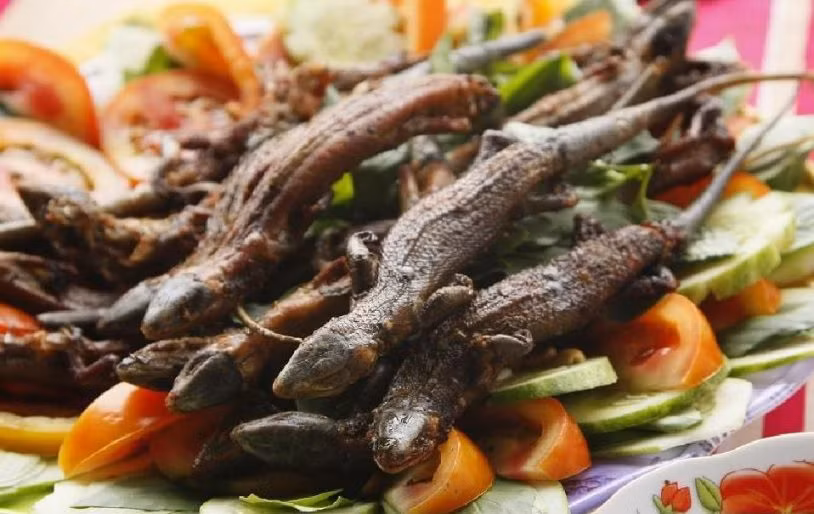 Món chả đùm thằn lằn ít có mùi vị riêng, món này các chị phụ nữ không còn thấy hình thù của nguyên liệu chính nữa vì đã được băm nhuyễn nên dễ ăn hơn. Món này ăn kèm bánh tráng nướng. Đặt một miếng chả đùm lên miếng bánh tráng nướng đưa vào miệng…Lẫn trong vị giòn của bánh tráng, mềm thơm của thịt heo, xực xực của nấm mèo là chút xương xương của… thằn lằn. Xét ra so với mấy món chả đùm thịt heo, thì món này cũng thú vị hơn hẳn.