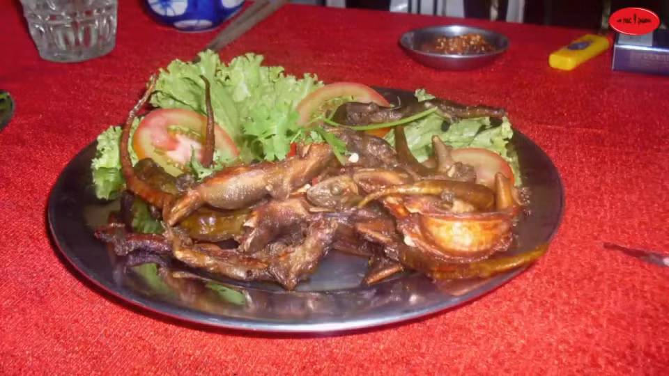  Thằn lằn núi Bà Đen là một trong những đặc sản Tây Ninh khá độc đáo và thường xuất hiện trên bàn nhậu của các cánh mày râu. Khi đến Tây Ninh, bạn sẽ nghe mọi người rỉ tai nhau đi nhậu “thằn lằn núi” lai rai cho vui.