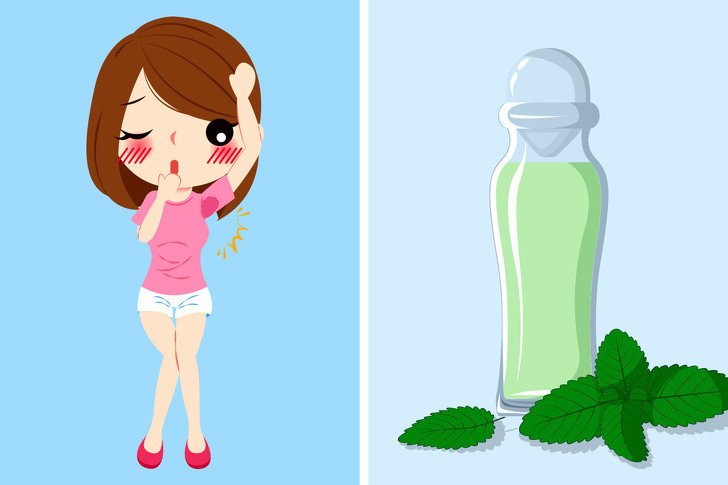 Bạc hà giúp giảm bớt các tuyến mồ hôi tiết ra khiến cơ thể “bốc mùi”. Bạc hà có thể được ăn tươi, khô hoặc dùng như một loại tinh dầu tạo mùi hương dễ chịu cho cơ thể.