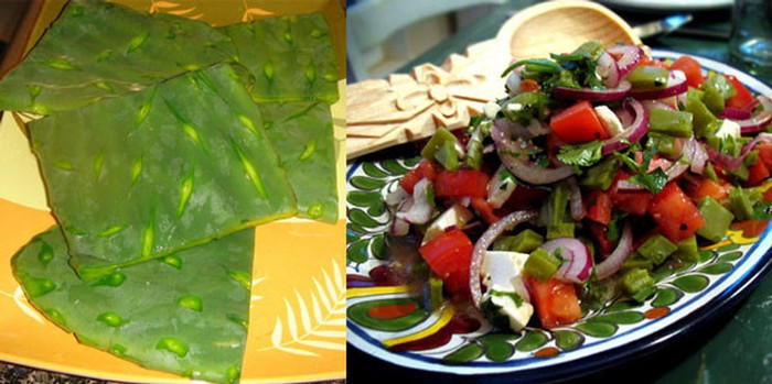 Món gỏi này thường được chuẩn bị cho ngư dân làm mồi lai rai trong những ngày thuyền nằm bờ hay nhà có khách mà trời đổ mưa chẳng kịp đi chợ. Vị giòn giòn, mát nhẹ không chán cứ khiến câu chuyện bên chén rượu thêm dài mà chủ nhà vẫn hào hứng vì có món ngon dễ làm, không phải mất công chuẩn bị. Ảnh: Báo Quảng Nam, Internet.