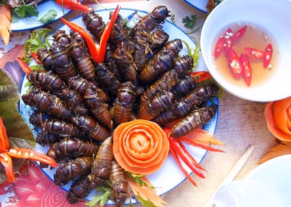 Cháo ve sầu cũng là một đặc sản. Cách chế biến: Nhộng ve rửa sạch, băm nhuyễn ướp với nước mắm, bột ngọt, chút đường, tiêu và hành củ băm để cho ngấm. Xào sơ nhộng ve rồi cho vào nồi cháo trắng đang nấu thêm chút tiêu, hành lá là có ngay một món cháo hấp dẫn ấm bụng.