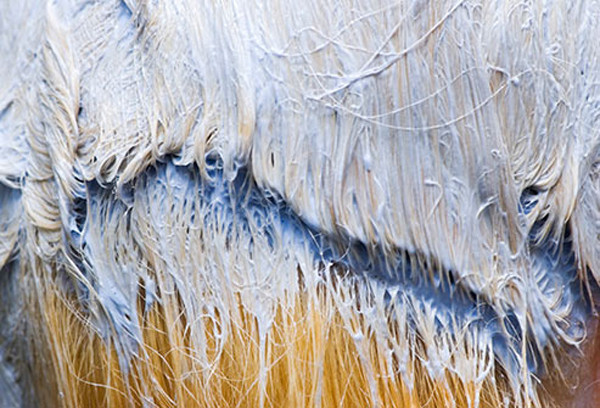 Dùng quá nhiều hóa chất: Tóc uốn sóng, tóc duỗi hay tóc nhuộm đều cần sử dụng hóa chất để làm xoăn, duỗi thẳng và nhuộm màu mái tóc của bạn. Những hóa chất này có thể gây các vấn đề về tóc và da đầu như: gãy rụng và kích ứng.