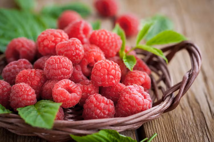 Quả mâm xôi: Một số nghiên cứu cho thấy, quả mâm xôi chứa rất nhiều chất xơ có tác dụng trong việc ngăn ngừa và thúc đấy quá trình giảm cân. Ngoài ra, do rất giàu vitamin, chất chống oxy hóa và nồng độ axit allagic, phenolic cao, quả mâm xôi được cho là có tác dụng tốt trong việc ngăn chặn sự phát triển của các tế bào ung thư.