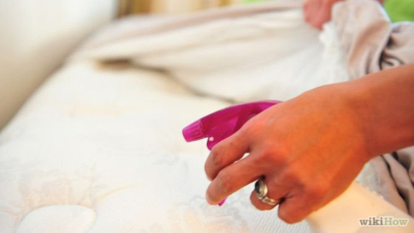 Voi nam la quen thuoc nay, ban co the duoi sach bay ve bo trong nha-Hinh-3