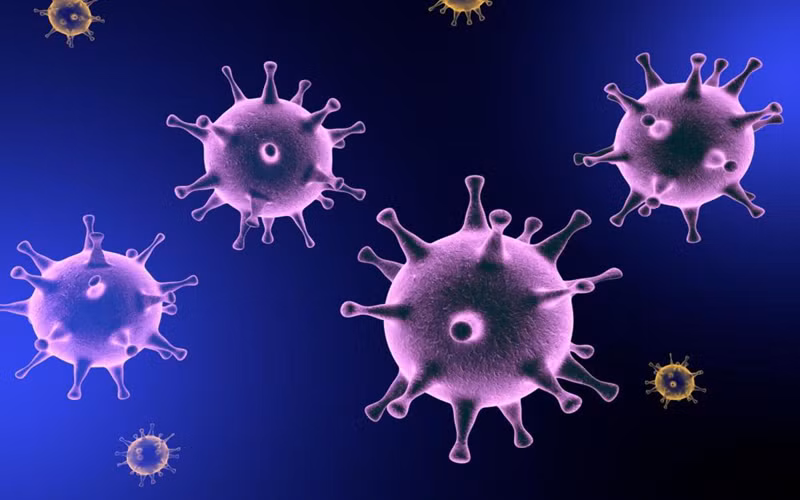 Nhiễm virus: Bạn có thể mắc viêm gan A bởi ăn phải thức ăn hoặc nguồn nước bị nhiễm virus này. Trong khi, viêm gan B thường lây nhiễm qua tiếp xúc tình dục với người bị bệnh gan, hoặc do dùng chung bơm kim tiêm không được tiệt trùng. Còn viêm gan C thường bị lây nhiễm do việc tiếp xúc trực tiếp với máu của người bệnh.