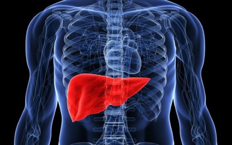 U nang ở gan: Khi gan bị bệnh, một số tế bào tăng sản xuất và tiết chất lỏng tạo thành túi nước như u nang gây đau đớn và khó chịu.