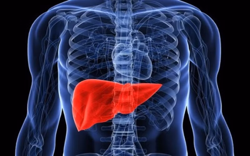 U nang ở gan: Khi gan bị bệnh, một số tế bào tăng sản xuất và tiết chất lỏng tạo thành túi nước như u nang gây đau đớn và khó chịu.
