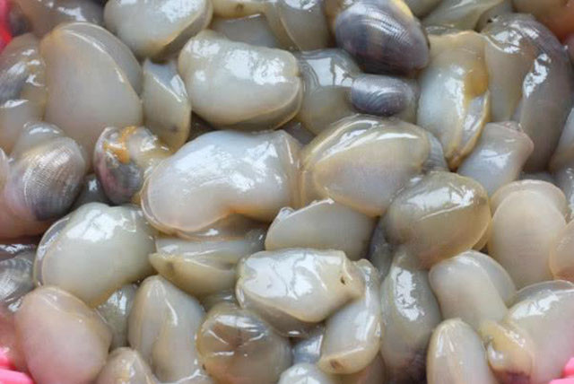 Rất nhiều người khi nhìn thấy loài ốc kinh dị này lần đầu tiên đều tự hỏi liệu chúng có thể ăn được không, người dân địa phương khẳng định ăn được nhưng không phải ai cũng thích hương vị của nó.