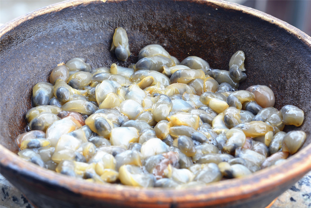 Ốc bùn sinh trưởng và có mùi vị ngon nhất là vào tháng 6, đây là khoảng thời gian mà các gia đình ở Ninh Ba đều mua ốc bùn về ăn.