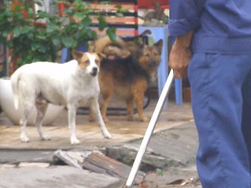 Chup anh cho i bay lam...bang chung xu phat