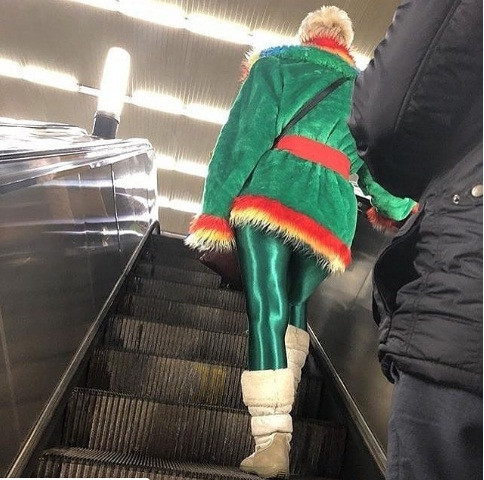 Có ai mà phớt lờ được một quý bà "xanh rực" cả bộ như vậy! Ảnh: BS.