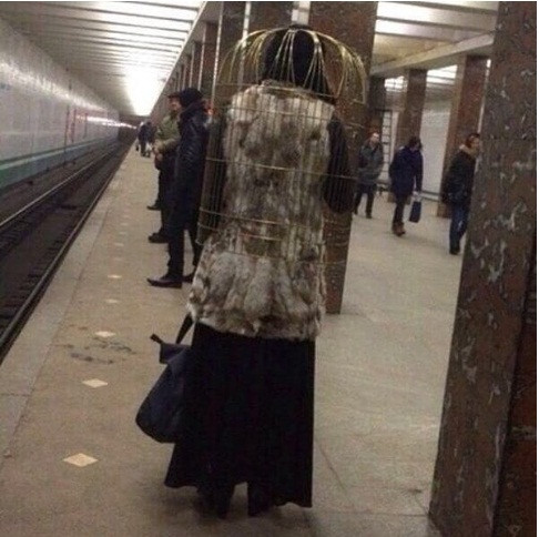 Đội cả lồng chim ra phố cũng là cách giúp bà ấy nổi bật ở mọi nơi.