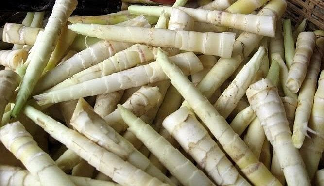 Khi ăn phải măng có chứa nhiều cyanide, dưới tác động của các enzym đường tiêu hóa, cyanide biến thành axít cyanhydric (HCN), là một chất cực độc với cơ thể, gây hại cho gan.