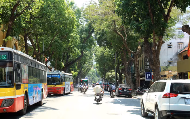 Thoi tiet ngay 15/6: Mien Bac don mua dong dien rong, Trung Bo nang nong tren 38 do C