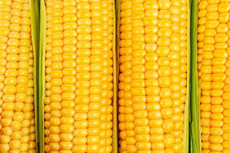 Ngô ngọt có khiến bữa ăn của bạn hấp dẫn hơn nhưng vị ngọt đó chính là đường và nó có thể gây tăng cân. Vì vậy, bạn nên ăn ngô với lượng vừa phải.