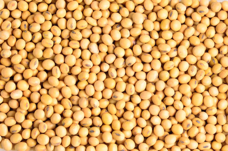 Đậu nành có thể là một thay thế lành mạnh cho thịt. Nó có hàm lượng protein cao, nên là một thay thế tốt cho những người cố gắng ăn chay. Tuy nhiên, có một số bằng chứng cho thấy đậu nành có thể hoạt động như một loại estrogen trong cơ thể; ăn hoặc uống quá nhiều có thể làm trầm trọng thêm một số rối loạn nội tiết tố.