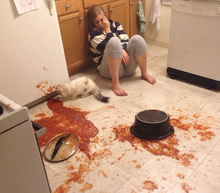 Thật không thể tin rằng đây là thành quả vào bếp của cô ấy hay bãi chiến trường vậy?