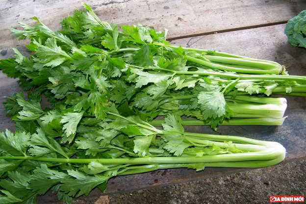 Cần tây giúp làm sạch máu và ngăn ngừa sự tích tụ acid uric trong các khớp. Ngoài ra, siêu thực phẩm này còn giúp ích rất nhiều trong những trường hợp viêm tuyến giáp. Ảnh: Giadinhmoi.