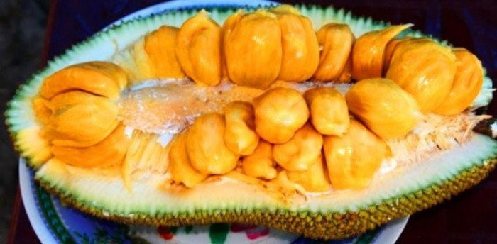 Mít tố nữ là loại trái cây bản địa của vùng Đông Nam Á. Ngoài ra, mít tố nữ cũng được trồng ở Úc, Ấn Độ và Queensland.