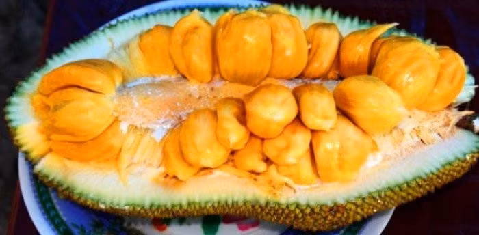 Mít tố nữ là loại trái cây bản địa của vùng Đông Nam Á. Ngoài ra, mít tố nữ cũng được trồng ở Úc, Ấn Độ và Queensland.