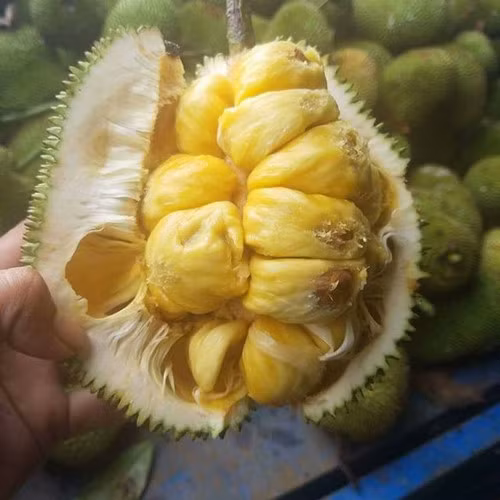 Tên gọi mít tố nữ xuất phát từ tương truyền xa xưa, có nàng trinh nữ mang tên Tố Nữ đem lòng yêu chàng trai nghèo tên gọi Tố Nam nhưng tình yêu của họ bị chia lìa đôi ngả.