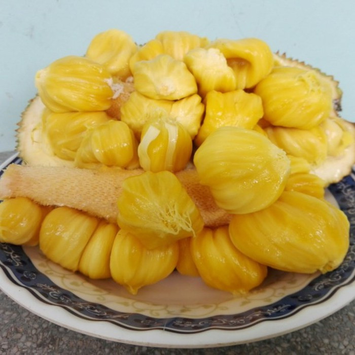 Mít tố nữ có hình trứng dài, chiều dài từ 22cm - 50cm, bề ngang từ 10cm - 17cm, trọng lượng từ 1kg - 6kg nhưng thông thường dưới 2kg.