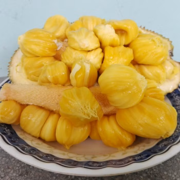 Mít tố nữ có hình trứng dài, chiều dài từ 22cm - 50cm, bề ngang từ 10cm - 17cm, trọng lượng từ 1kg - 6kg nhưng thông thường dưới 2kg.